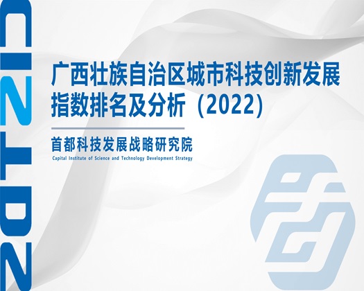 欧美糙逼视频【成果发布】广西壮族自治区城市科技创新发展指数排名及分析（2022）